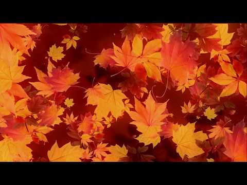 Видео: Знакомство) Вязание спицами. Синий твид, образцы, вяжу кардиган)Вопросик о канале)