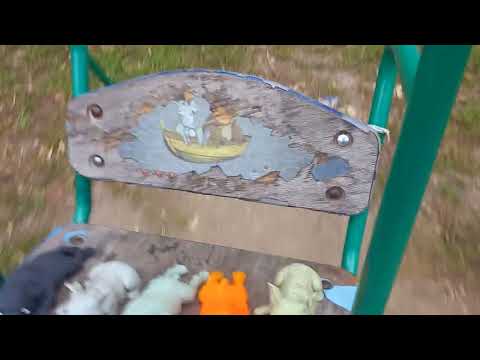 Видео: прогулаа с собаками🐶