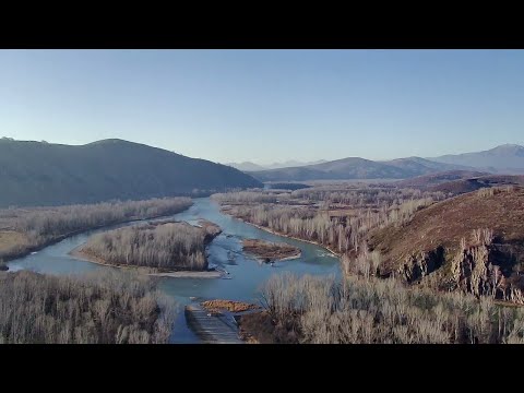 Видео: РЫБАЛКА НА ХАРИУСА / ГОРНАЯ РЕКА БУХТАРМА / ОКТЯБРЬ 2025