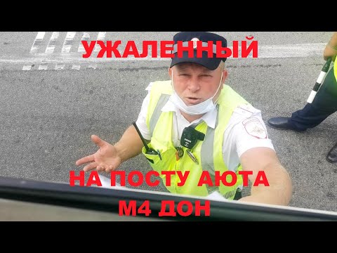 Видео: Привитая "Аюта" Ростовской области