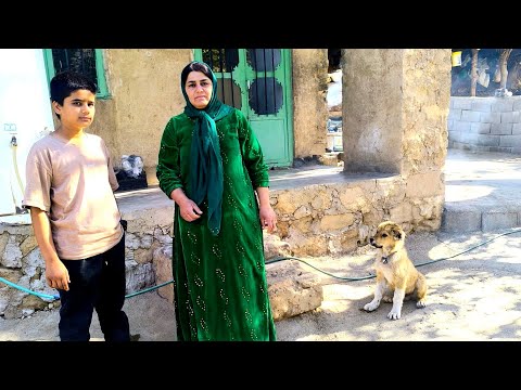 Видео: Часть 1 кочевой миграции