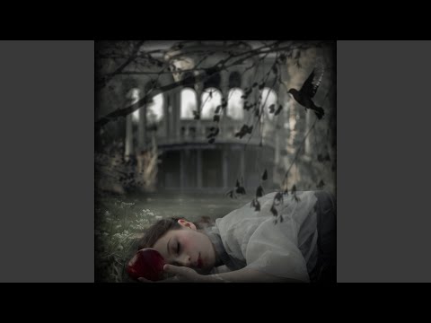 Видео: пепел (sped up)