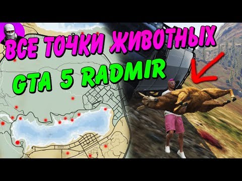Видео: ВСЕ ТОЧКИ СПАВНА ЖИВОТНЫХ В ГТА 5 РП РАДМИР + РОЗЫГРЫШ ТАЧКИ / ДЭЧИ