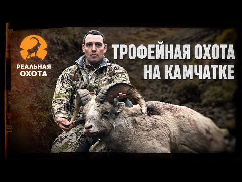 Видео: ТРОФЕЙНАЯ ОХОТА НА КАМЧАТКЕ | ОХОТА НА ЧУКОТСКОГО СНЕЖНОГО БАРАНА