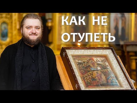 Видео: КАК НЕ ОТУПЕТЬ. Отец Савва (Мажуко)