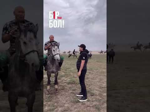 Видео: 29 декабря 2024 г.