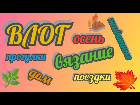 Видео: Влог октябрь