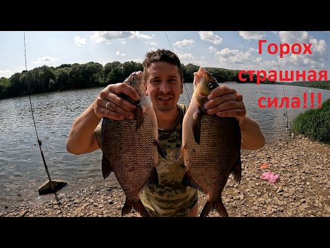 Видео: ГОРОХ СТРАШНАЯ СИЛА!!! Рыбалка на новом месте! Донки на леща. #рыбалка #fishing #река #отдых