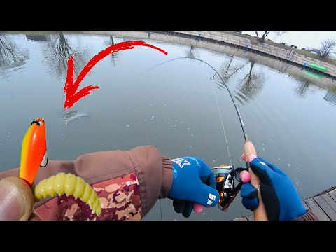 Видео: ЭТИ ПРИМАНКИ ЛОВЯТ ФОРЕЛЬ Ловля форели на резину и блесна