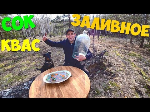 Видео: СБОР БЕРЕЗОВОГО СОКА! ДЕЛАЮ КВАС ИЗ БЕРЕЗОВОГО СОКА! ГОТОВЛЮ ЗАЛИВНОЕ ИЗ ЯЗЫКА ГОВЯЖЬЕГО!