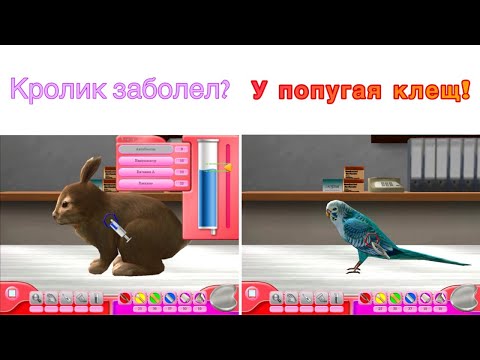 Видео: Игра про животных ЮНЫЙ ВЕТЕРИНАР энциклопедия + мини-тест #2 (13+)