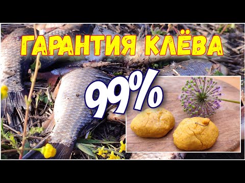 Видео: УЛОВИСТОЕ ТЕСТО на КАРАСЯ и КАРПА. Хороший улов гарантирован!