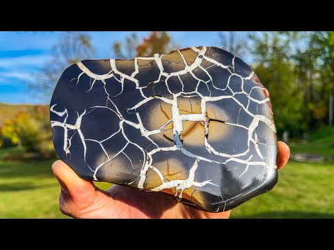 Видео: Разрезаем «Молниеносные камни»! Обнаружены премиальные септарные узелки!