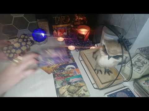 Видео: 💯🤦Он в истерике🔥.Что там , реально, творитмя с ним из  за Вас🤦💯