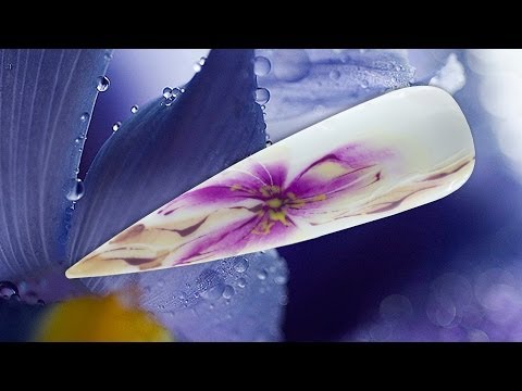 Видео: Real-Professional. "Цветок Ириса".
