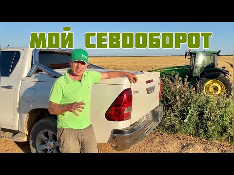 Видео: Мой севооборот