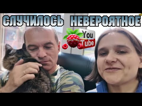 Видео: Бровченко 