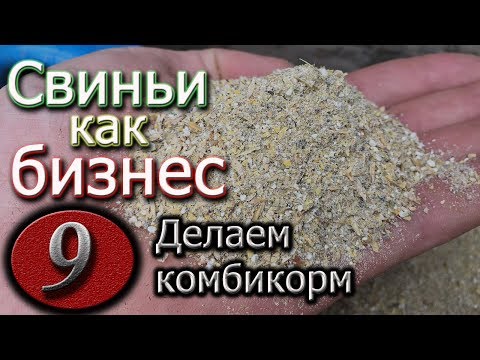 Видео: КАК НУЖНО КОРМИТЬ СВИНЕЙ