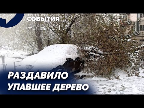 Видео: Придавило деревом. Почему управляющая компания уходит от ответа? Скандал в суде