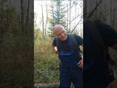 Видео: Тверские болота.