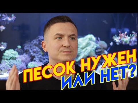 Видео: рифовый аквариум | чистка песка в морском аквариуме | морской аквариум для начинающих | vlog #8