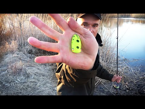 Видео: Рыбалка на ультралайт весной!!! ЯПОНСКАЯ СНАСТЬ ЛОВИТ ВСЁ... Ловля на микроджиг с берег