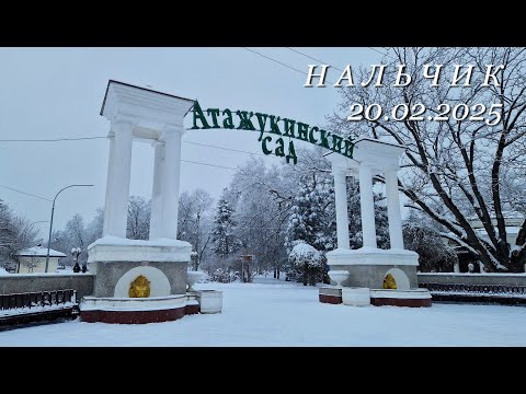 Видео: Нальчик в снегу, 20.02.2025г.