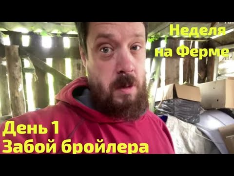 Видео: Забой кур и праздник! День 1! Неделя на ферме, Лето-Осень 2024г.