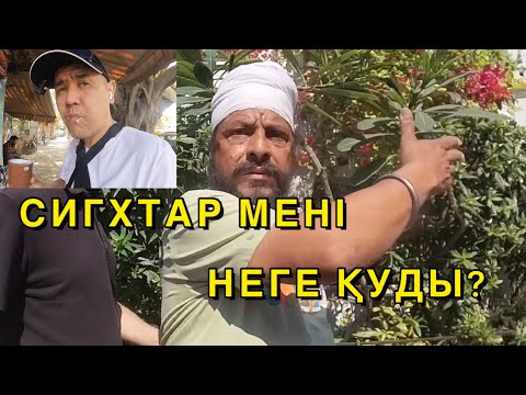 Видео: ДЕЛИДЕГІ ЖЕЗӨКШЕЛЕР КӨШЕСІ | СИГХТАР | ОБСЕРВАТОРИЯ