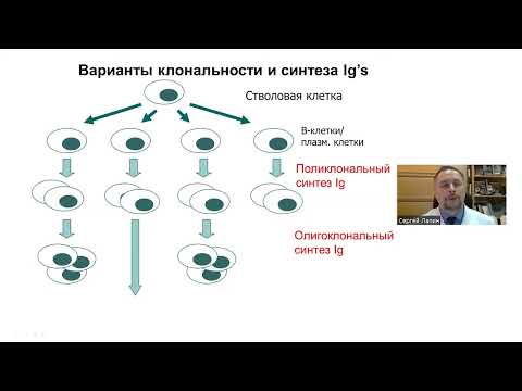 Видео: Возможности электрофореза белков в клинической диагностике  ВЕБИНАР  Лапин СВ