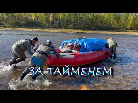Видео: Рыбалка тайменя в Якутии/Река Таежная/Первая часть