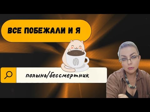 Видео: Купила новый флакон 🍂 парфюмы с нотой бессмертника #топпарфюмов #sergelutens #givenchy #eldo
