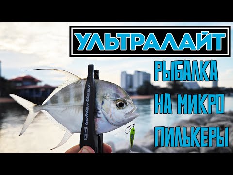 Видео: ЗЛЫЕ ПОКЛЁВКИ НА МИКРО ПИЛЬКЕР И СИЛИКОН. РЫБАЛКА НА УЛЬТРАЛАЙТ