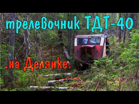 Видео: Легендарный советский трелёвочник ТДТ-40. Эпизод 1.