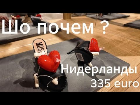 Видео: Шо почем? Нидерланды