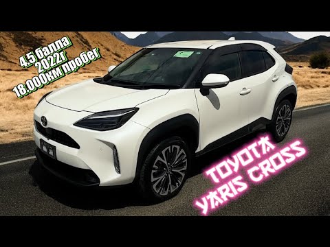 Видео: Заказ из Японии, перегон и доставка до двери заказчика Toyota Yaris Cross.
