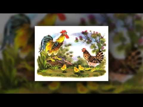 Видео: СЛУШАТЬ Детские сказки - Курочка и Петушок