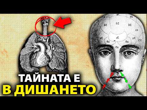 Видео: ОТКРИЙ ТАЙНАТА на ДИШАНЕТО, което ПРЕОБРАЗЯВА УМА ти за СЕКУНДИ!