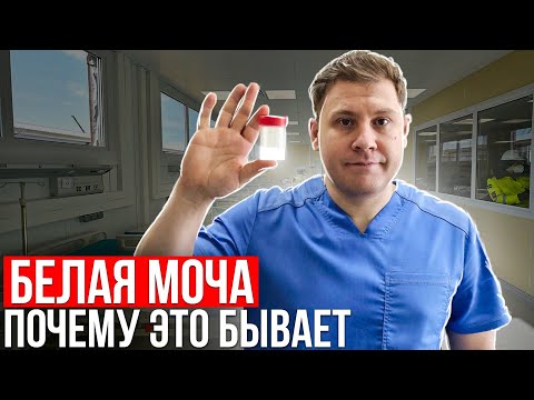 Видео: Белая моча. Почему так бывает.