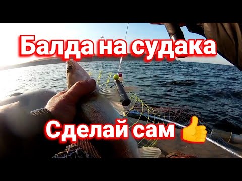 Видео: Балда на судака. Проще не бывает.