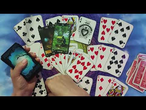 Видео: Тишина....Залёг, окопался....Как там?👣👁️🔭🛰️📡🤯‼️💯‼️