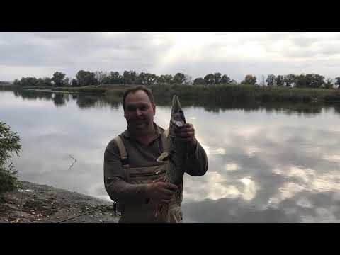Видео: Закрытие сезона по фидеру на р Псел