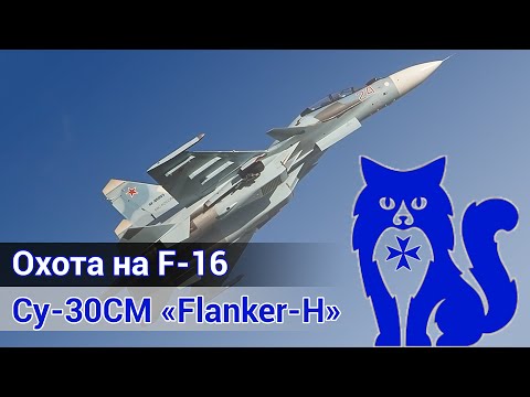 Видео: Су-30СМ - Охота на F-16 (DCS World)