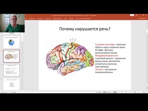 Видео: Речь после инсульта: нарушения и восстановление