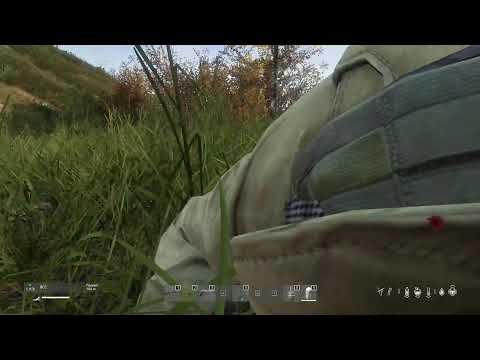 Видео: DayZ Выживаем на DE 2599