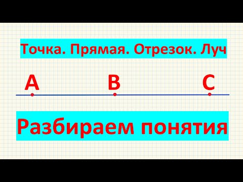 Видео: Что такое точка, прямая, отрезок, луч. Математика 5 класс.