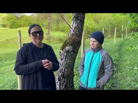 Видео: Село Новоселиця, Закарпаття. Жити в горах.
