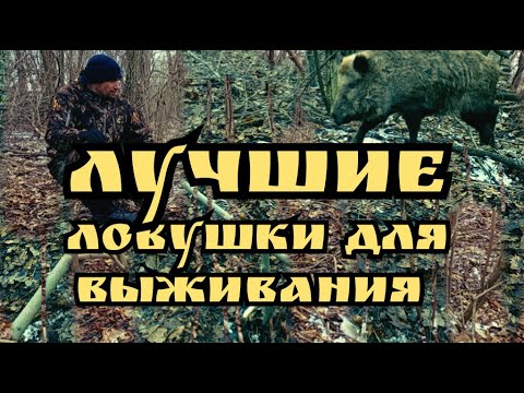 Видео: ЛУЧШИЕ ЛОВУШКИ ДЛЯ ВЫЖИВАНИЯ