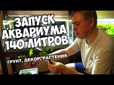 Видео: Запуск аквариума 140 литров. Грунт, декорации, посадка растений. Аквапеределкино.