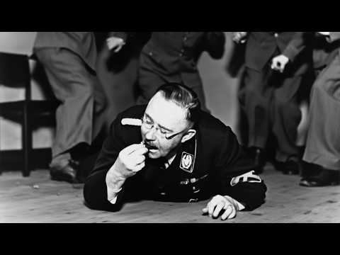 Видео: Последние 24 часа Гиммлера: цианид в британском плену, 1945
